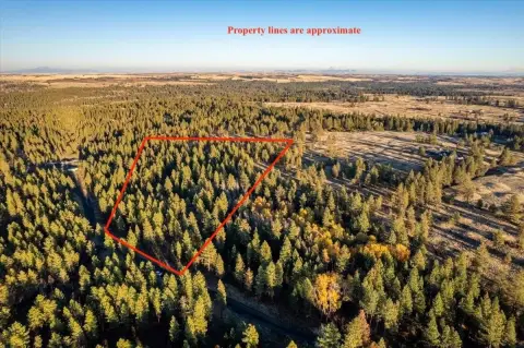 Secluded 10-Acre Treed Parcel