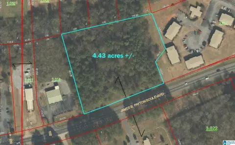 SYLACAUGA, AL Acreage Investment