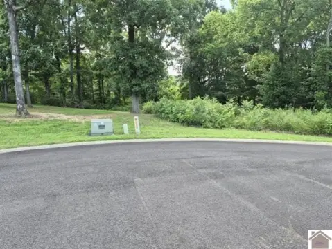 Residential Cul-de-Sac Lot