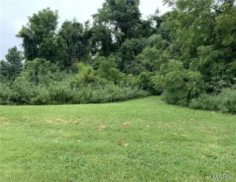 Wooded Lot in Nottingham Estates