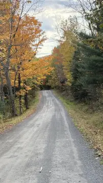 Wooded Recreation Land