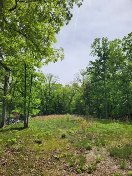 Wooded Land Near Table Rock