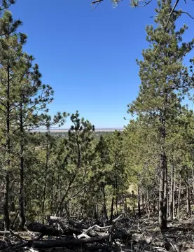 Cleared Recreation Land