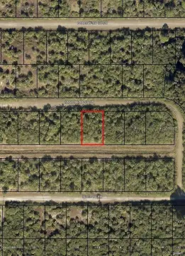 Residential Land in Palm Bay