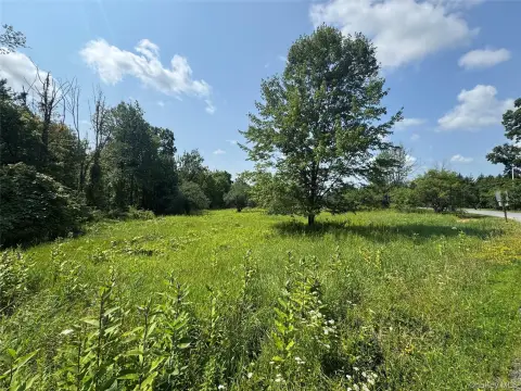 Wooded Recreational Land