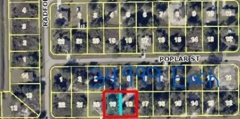 Lehigh Acres Land Opportunity