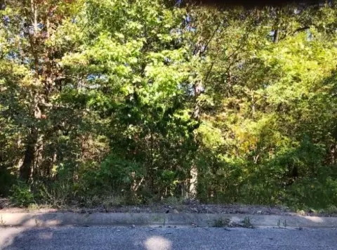 Land For Sale, Hollister, MO