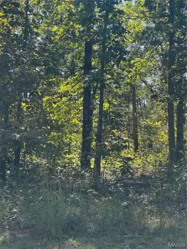 Wooded Acreage Near Doniphan