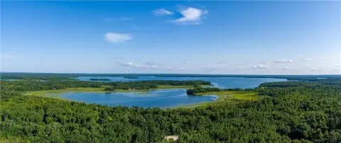 Woman Lake Wooded Lot