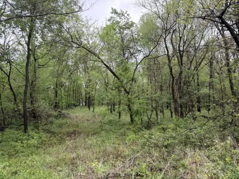 Residential Land in Wooded Area