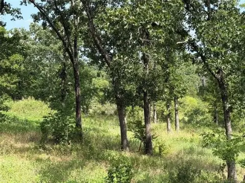 Hunting Recreation Land on Paved Road