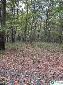 1.31 Acre Land in Price