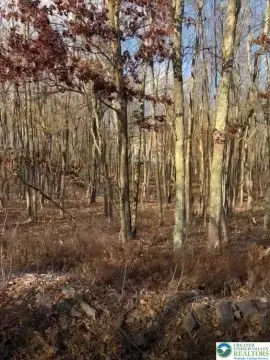 Land in Mt Pocahontas Subdivision