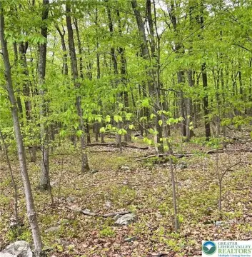 Land in Indian Mountain Lakes