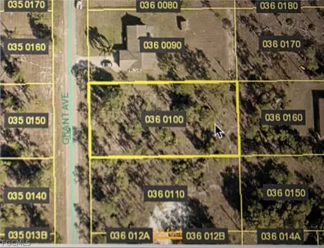 Lehigh Acres Land Opportunity