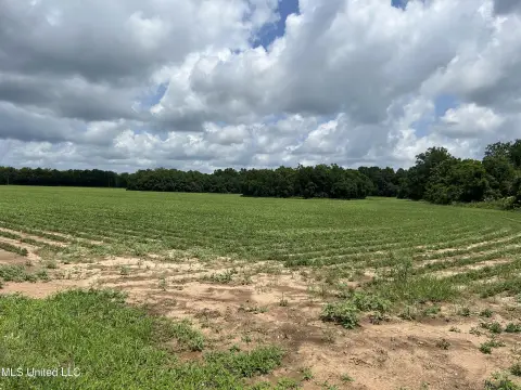 Development-Ready Land with Pond