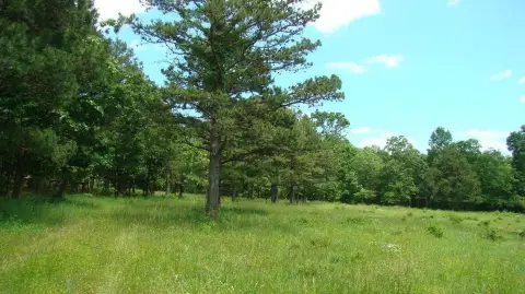 Mountain View Land For Sale