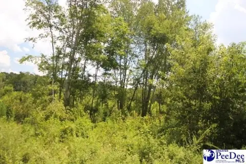 Two-Acre Residential Lot