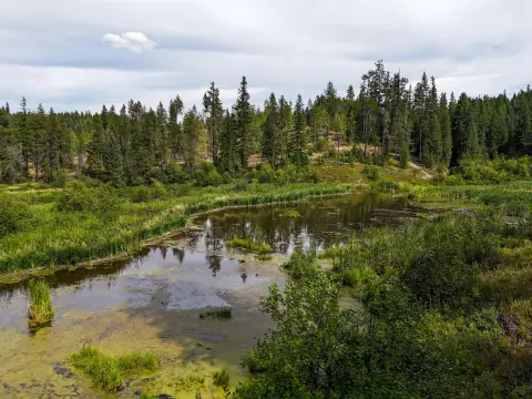 Agricultural and Hunting Land Ranch