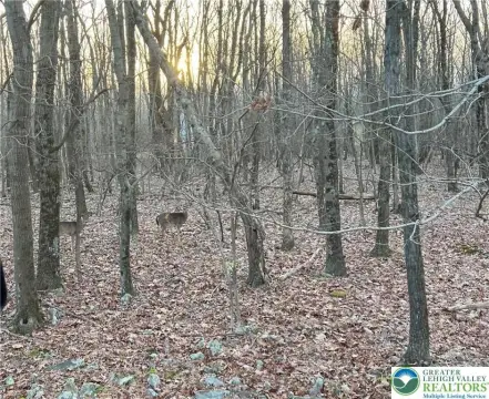 Land in Mt Pocahontas Subdivision