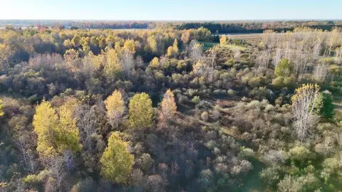 Hunting Land with Pole Barn