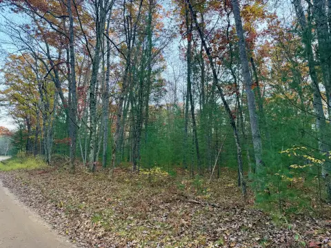 Wooded Hunting Land