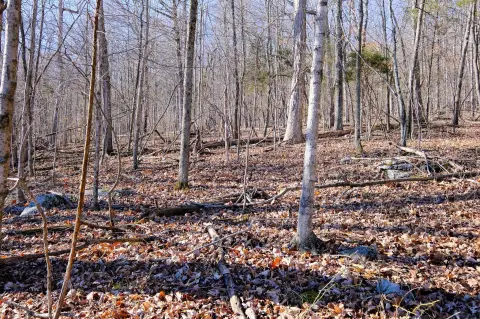 Residential Land in Somerset, KY