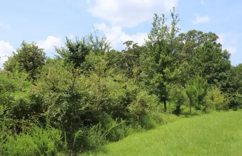 Waterfront Corner Residential Lot