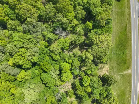 Wooded Land with Timber and Road Access
