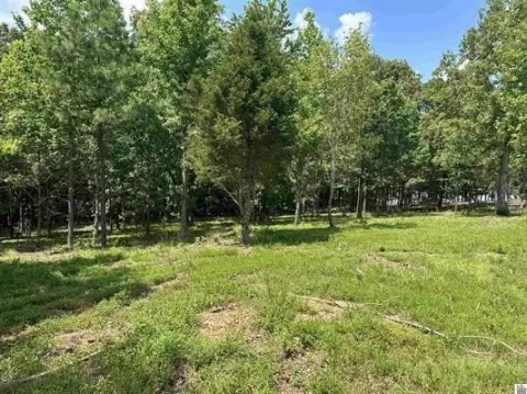Dockable Waterfront Lot