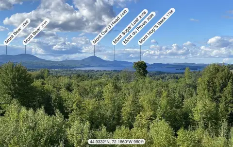 41-Acre Commercial Land Opportunity