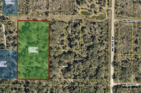 Okeechobee Land with Established Trees