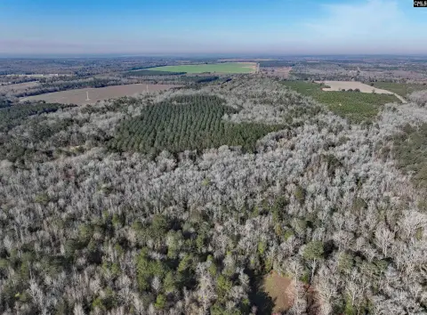 Agricultural Land with Rear Creek