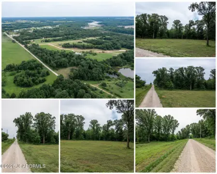 Acreage Lot with Utilities at Road