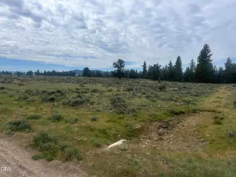 Level Vacant Hunting Land