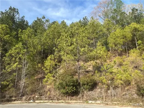 Residential Land in Stone Ridge
