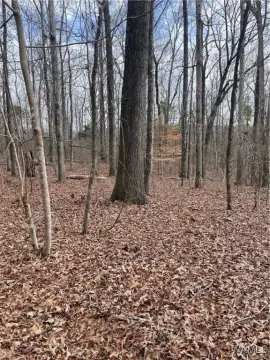 Wooded Lots in Tuscaloosa, AL