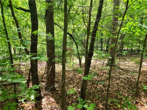 Wooded Homesite in Foxwood Hills