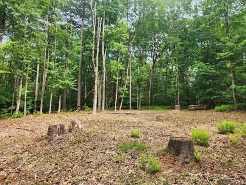 Buildable Lot Near Swinging Bridge