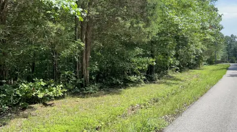 Waterfront Lakefront Lot