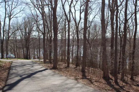 Wooded Waterfront-View Land Lot