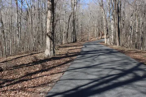Wooded Residential Land Lot