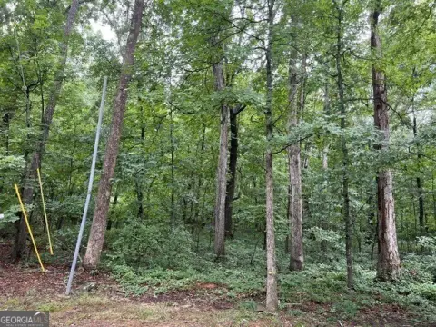 Residential Land in Ellenwood, GA