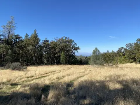 Wooded Recreational Land