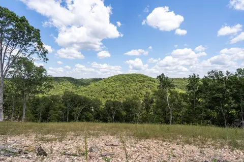 Land Near Silver Dollar City