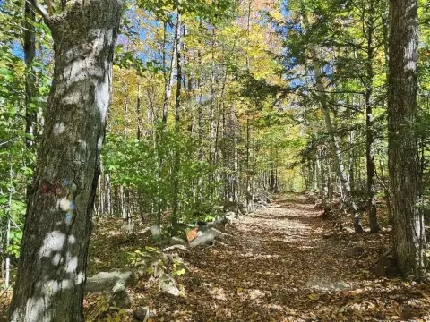 117 Acre Lot in Farmington, ME