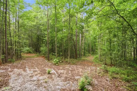 Westminster Land with Creek