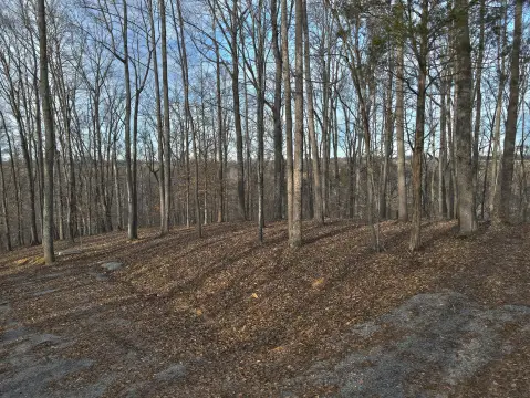 Residential Land in Lake Ridge