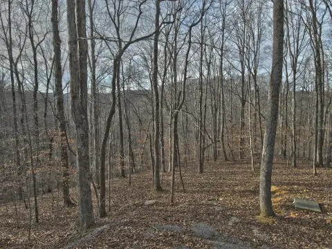 Residential Lot in Lake Ridge