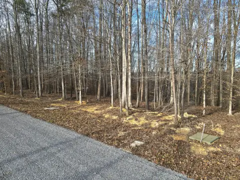 Residential Land in Lake Ridge